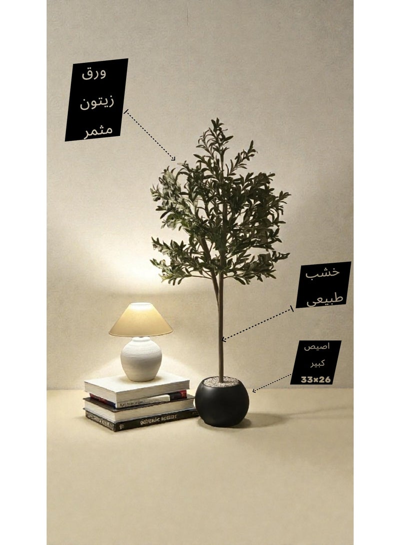 بيت الرواسم شجر زيتون مثمر مع اصيص اسود كبير بتصميم جذاب  اجعل منزلك اكثر اناقة مقاس 180 سم 150سم 220سم 100 سم - Image 4